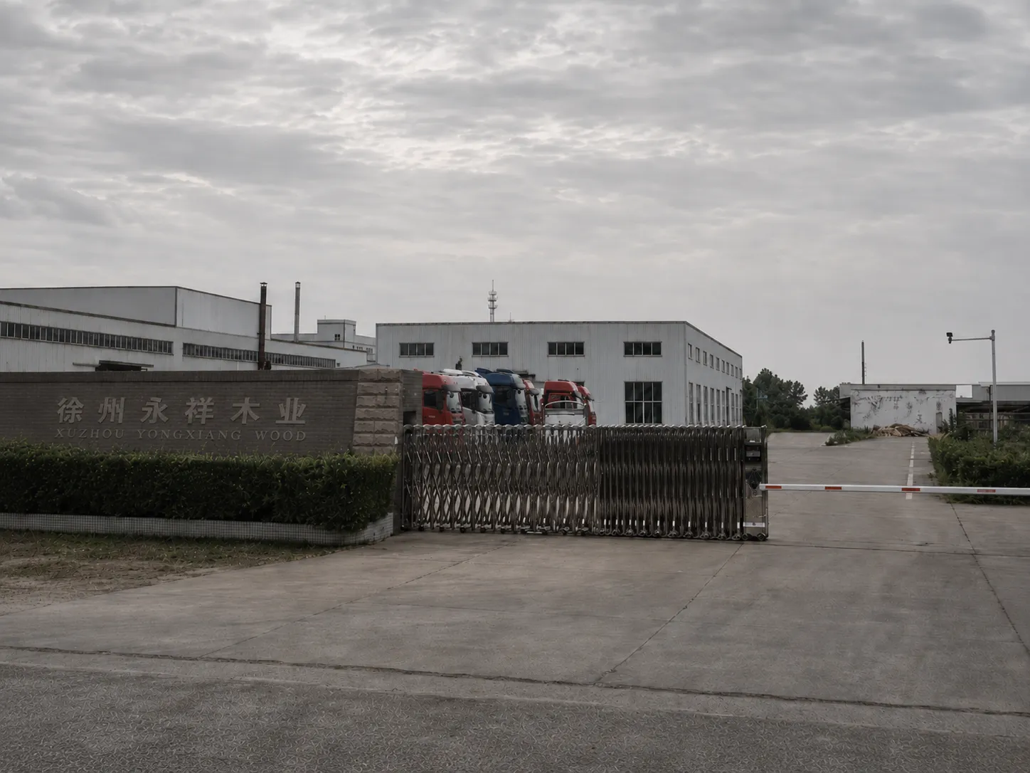 Xuzhou Yongxiang Wood Industry factory yard and loading area