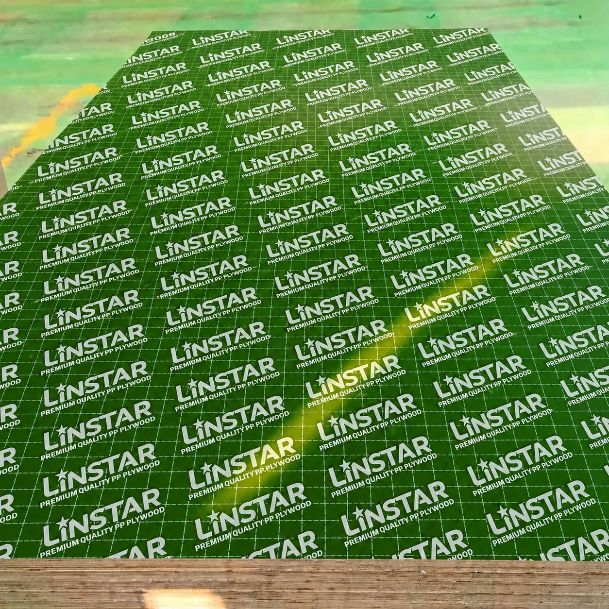 PP plastic faced plywood